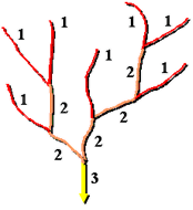 Strahler stream ordering method Strahler stream ordering method